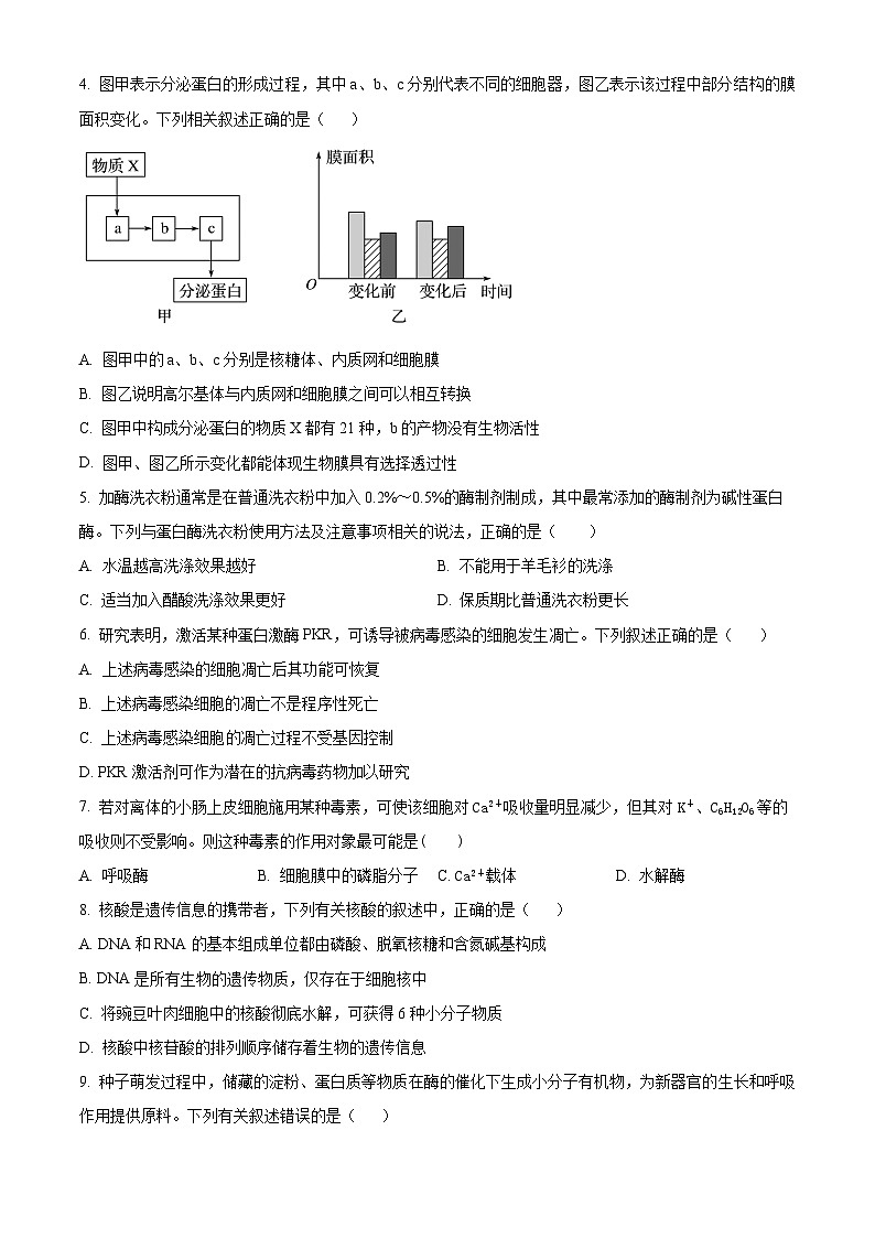 云南省红河哈尼族彝族自治州蒙自市第一高级中学2023-2024学年高一下学期4月月考生物试题（原卷版+解析版）02