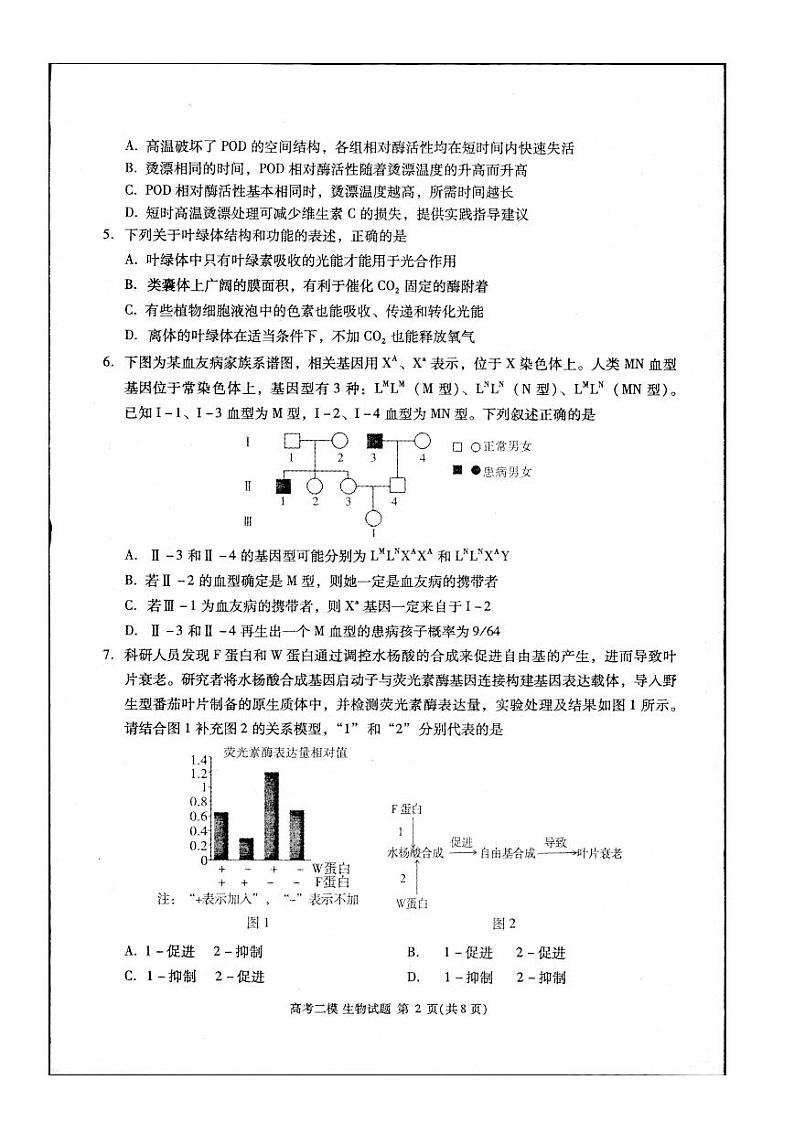 江西省九江市2024年高三下学期3月第二次高考模拟统一考试生物试题及答案02