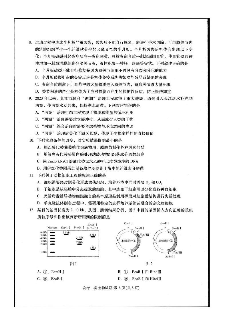 江西省九江市2024年高三下学期3月第二次高考模拟统一考试生物试题及答案03