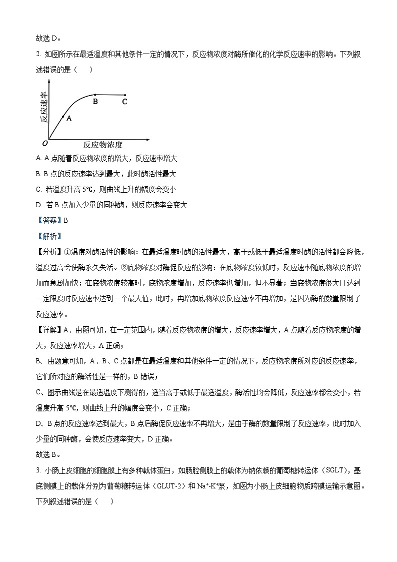 安徽省华大新高考联盟2023-2024学年高三下学期4月联合测评二模生物试题 Word版含解析第2页