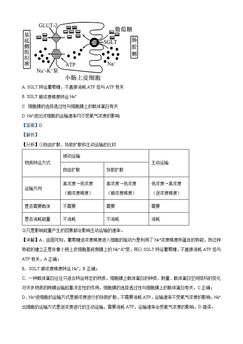 安徽省华大新高考联盟2023-2024学年高三下学期4月联合测评二模生物试题 Word版含解析第3页