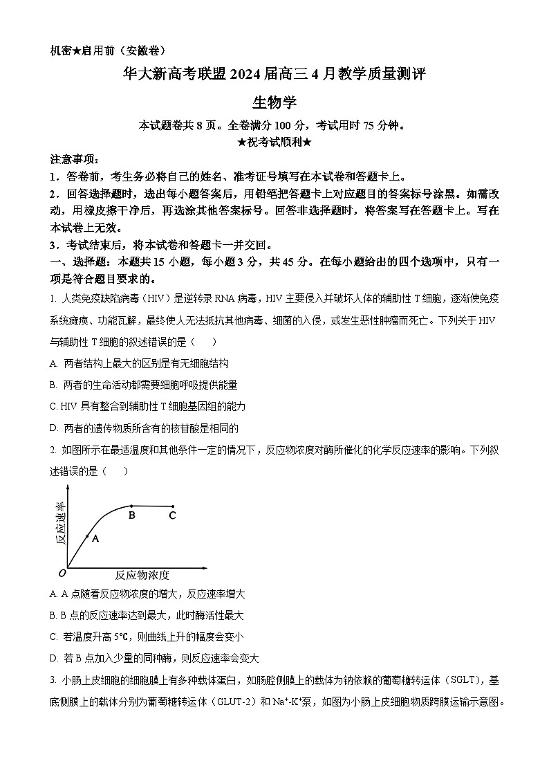 安徽省华大新高考联盟2023-2024学年高三下学期4月联合测评二模生物试题 Word版无答案第1页