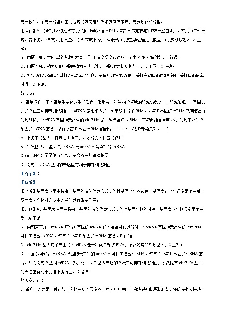 安徽省示范高中皖北协作区2023-2024学年高三下学期联考生物试题 Word版含解析第3页