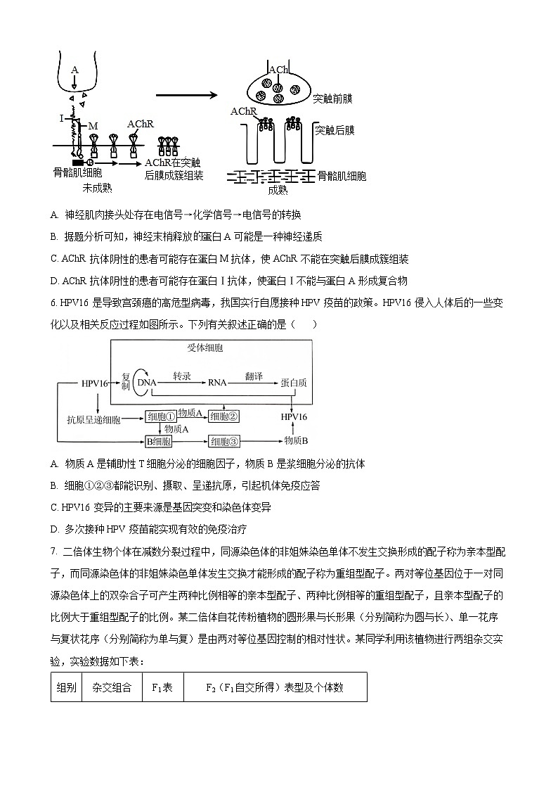 安徽省示范高中皖北协作区2023-2024学年高三下学期联考生物试题 Word版无答案第3页