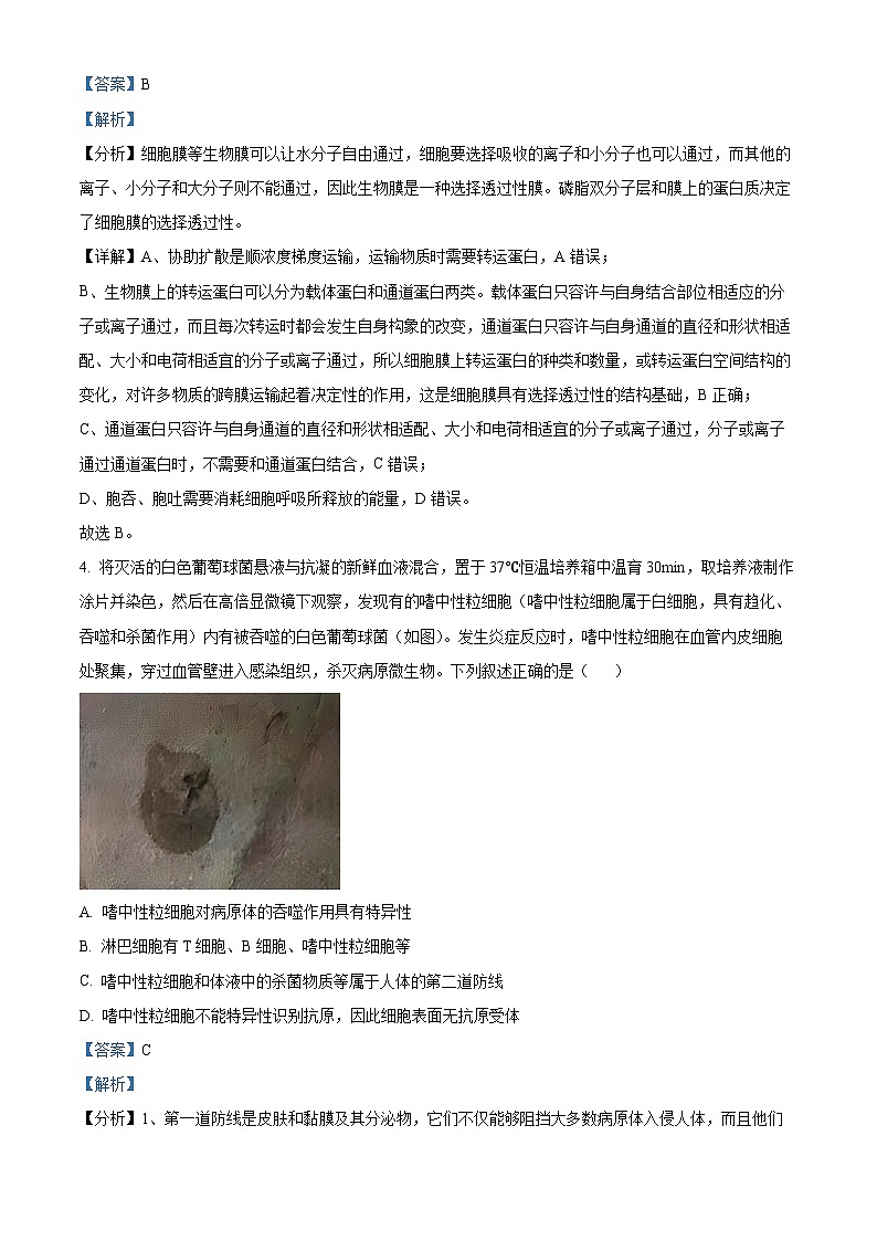 湖南省娄底市2024届高三下学期三模生物试题（Word版附解析）03