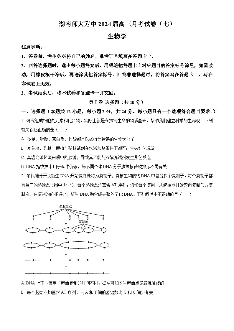 湖南省长沙市师范大学附属中学2023-2024学年高三下学期月考（七）生物试题 Word版无答案第1页