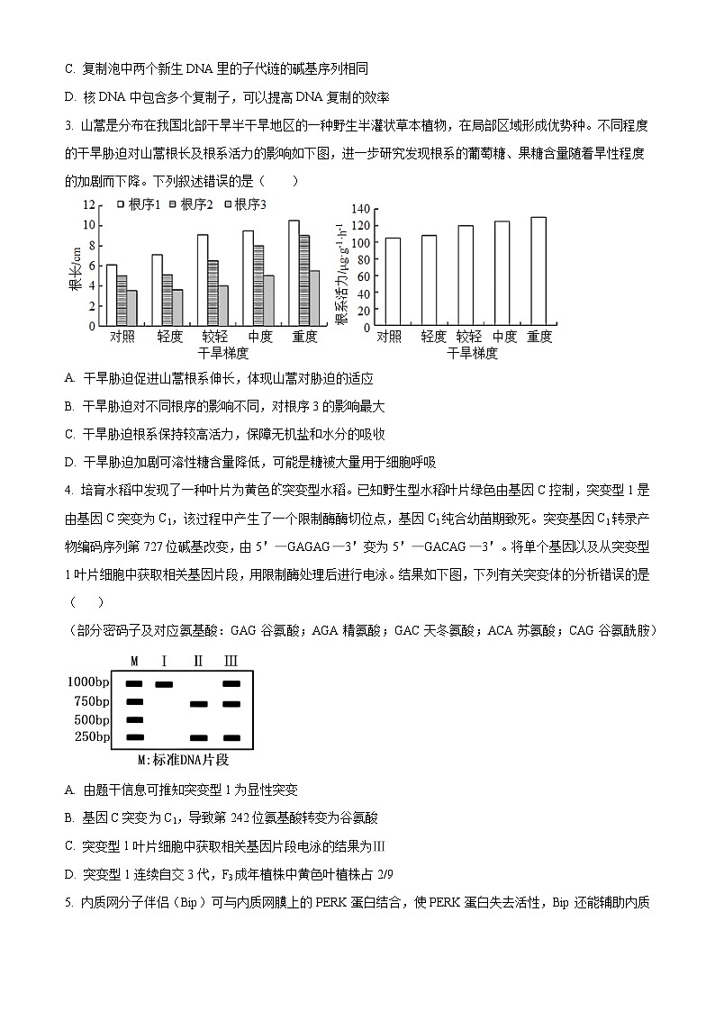 湖南省长沙市师范大学附属中学2023-2024学年高三下学期月考（七）生物试题 Word版无答案第2页