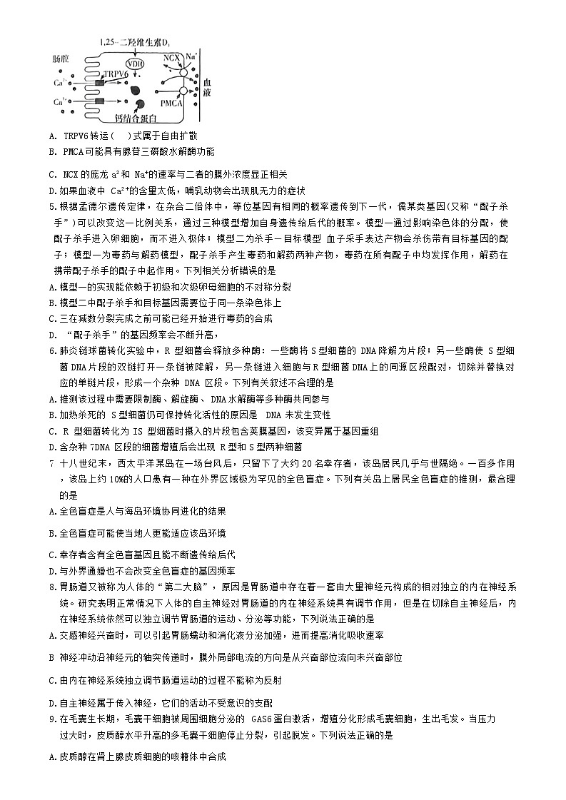 湖南省长沙市第一中学2024届高三下学期月考（七）生物02