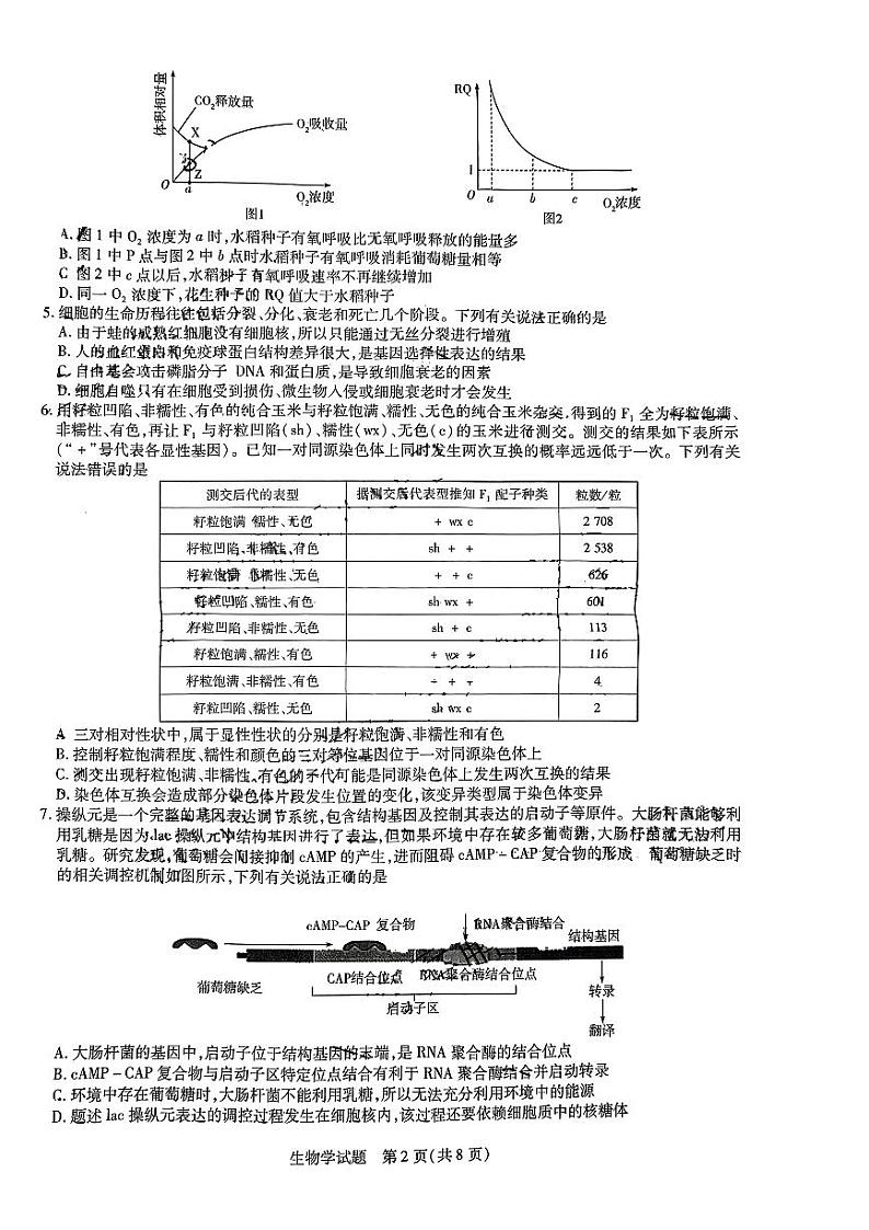山东省齐鲁名校联盟2024届高三下学期第七次联考生物试题02