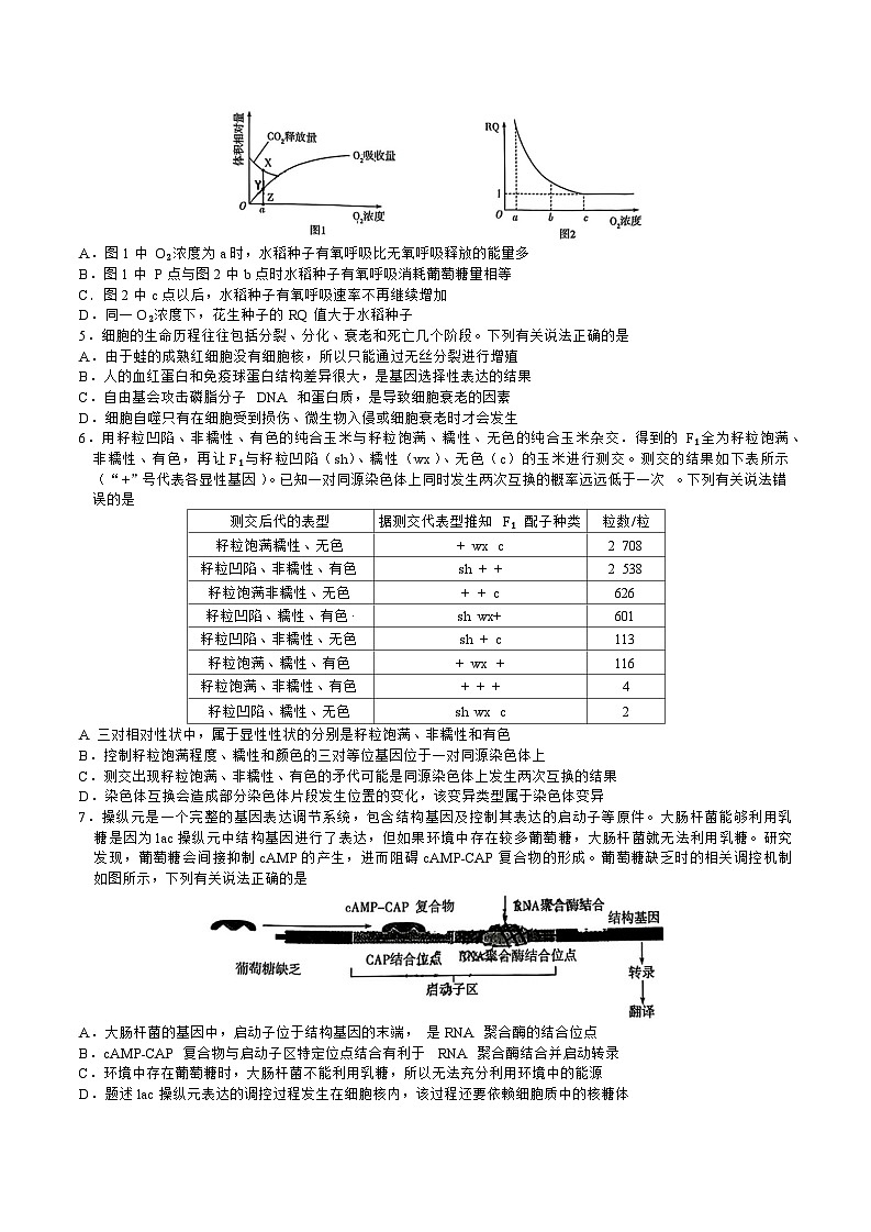 山东省齐鲁名校联盟2024届高三下学期第七次联考生物试题02