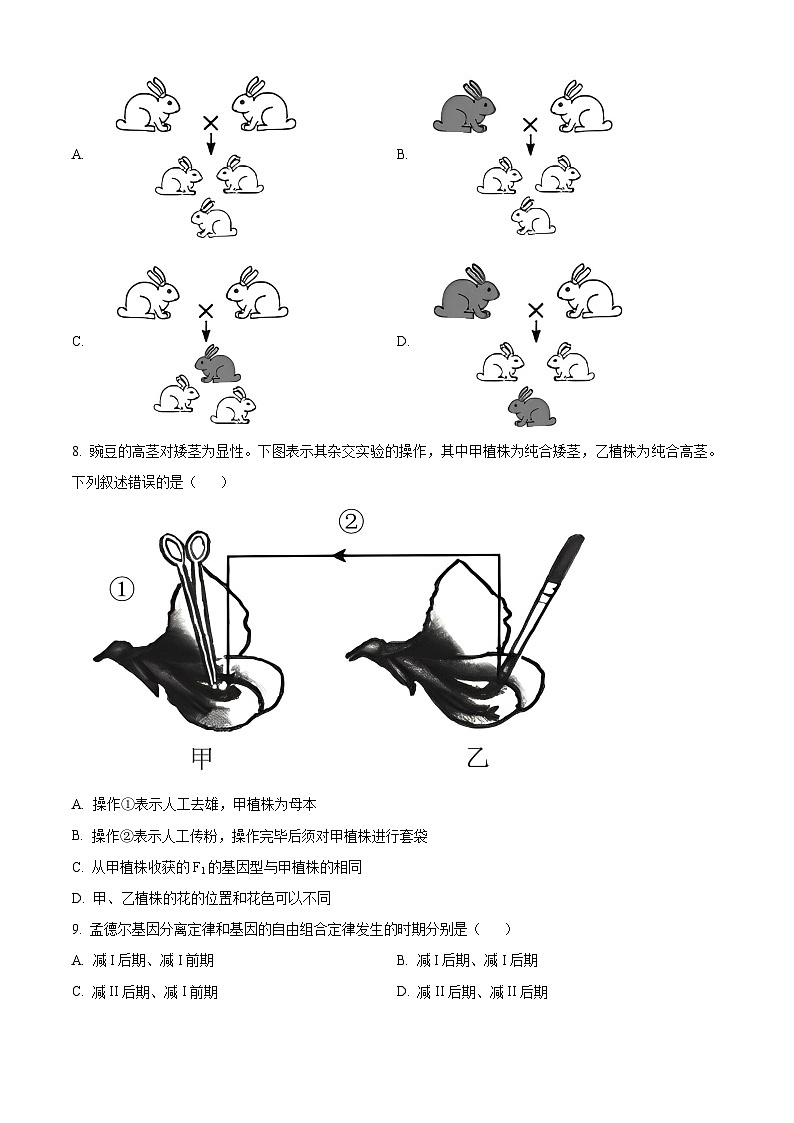 湖南省长沙市开福区长沙市德成学校2023-2024学年高一下学期4月月考生物试题（原卷版）第2页