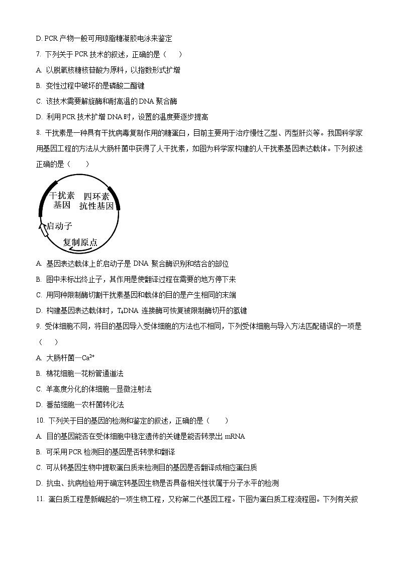 河北省高碑店市崇德实验中学2023-2024学年高二下学期3月考试生物试题（原卷版）第2页