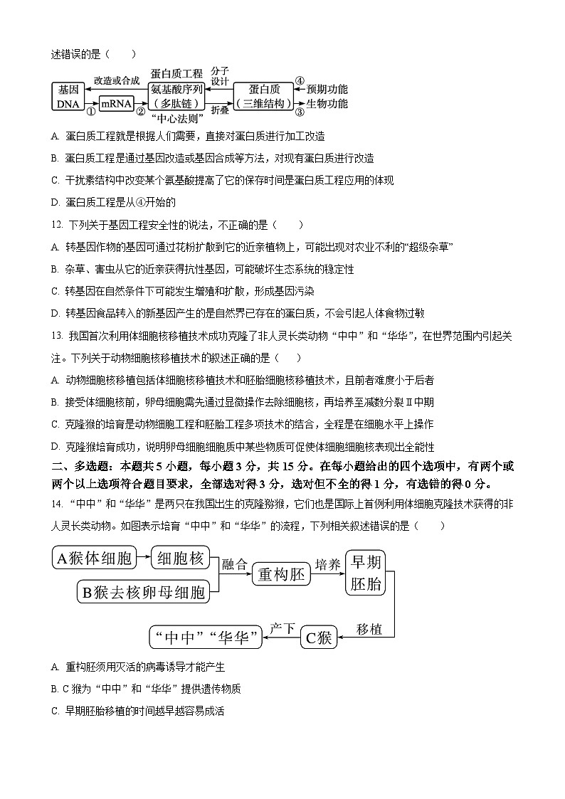 河北省高碑店市崇德实验中学2023-2024学年高二下学期3月考试生物试题（原卷版）第3页