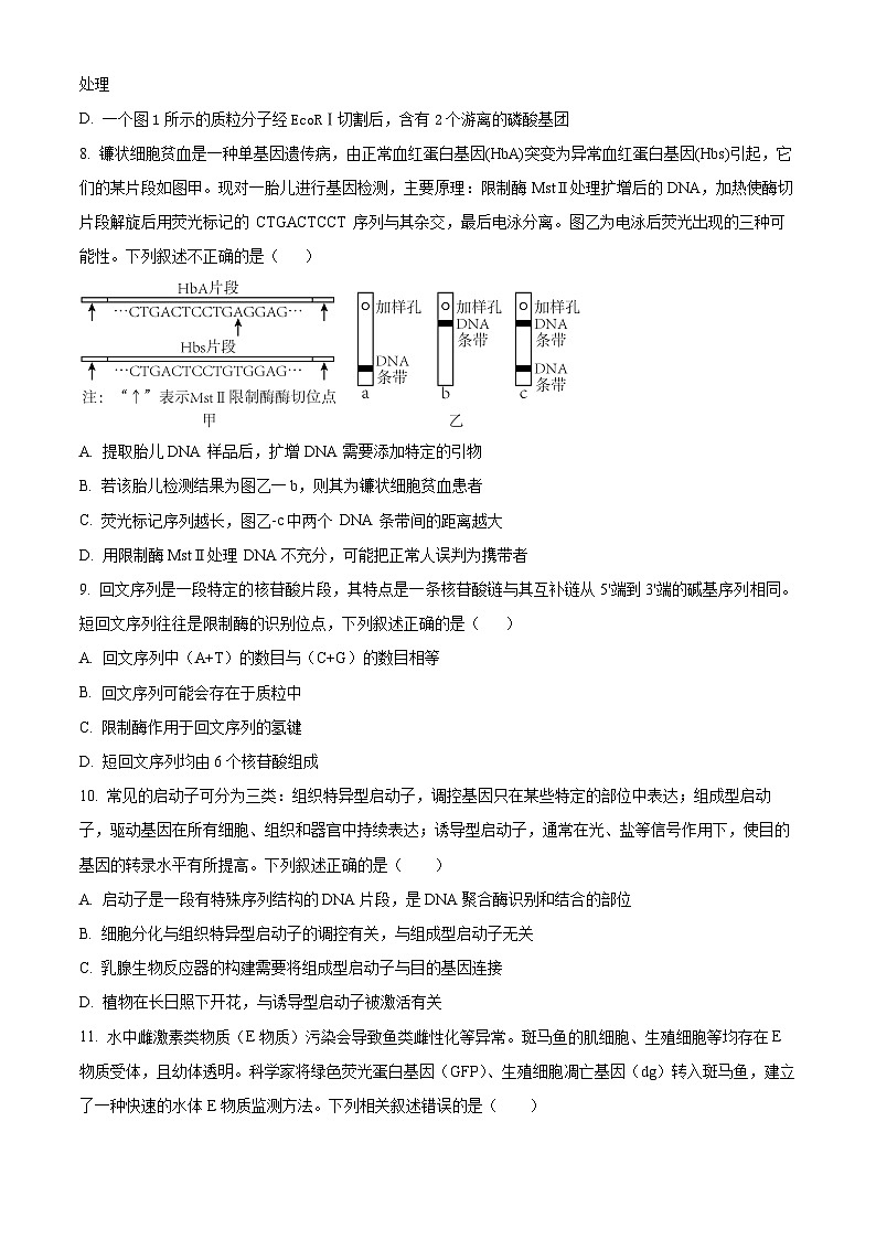 河北省沧州市泊头市第一中学2023-2024学年高二下学期4月月考生物试题（原卷版）第3页