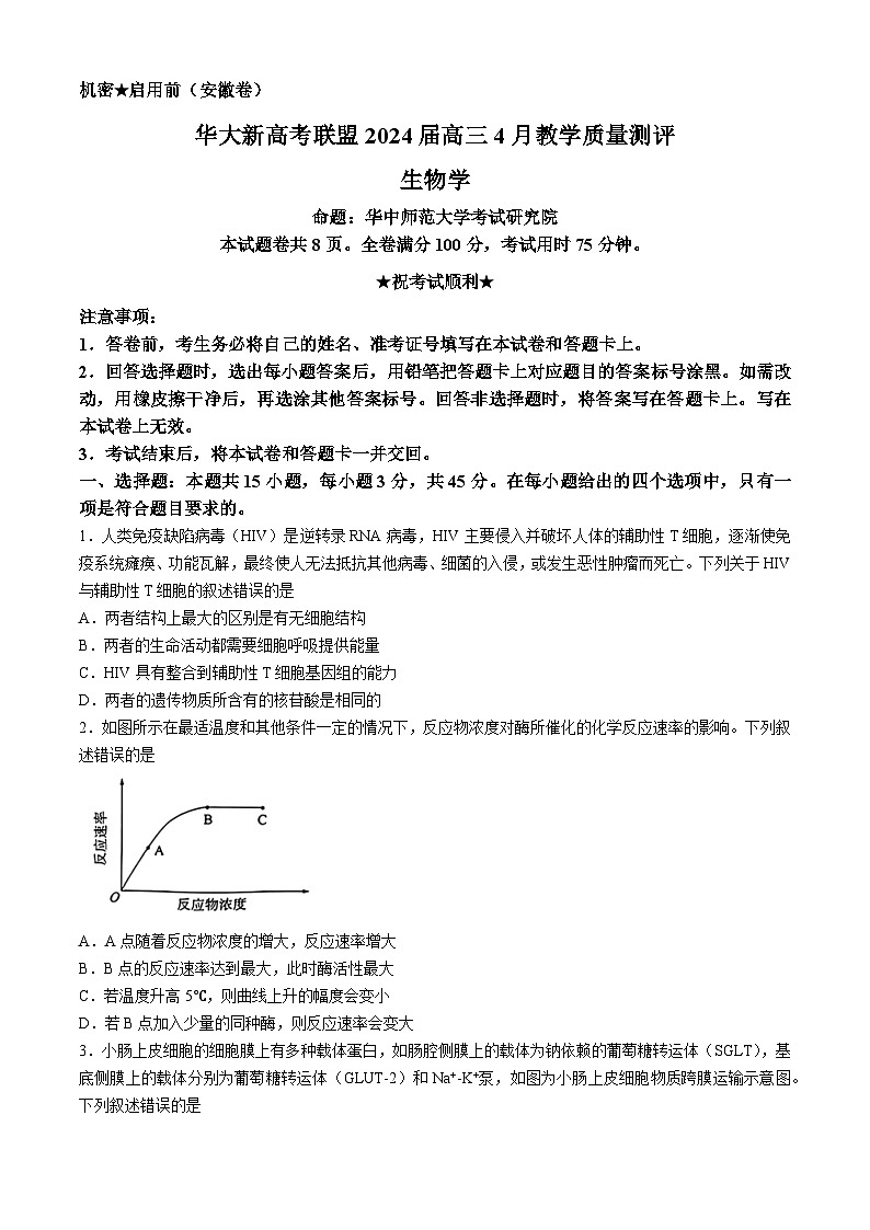 2024安徽省华大新高考联盟高三下学期4月教学质量测评二模试题生物含解析01