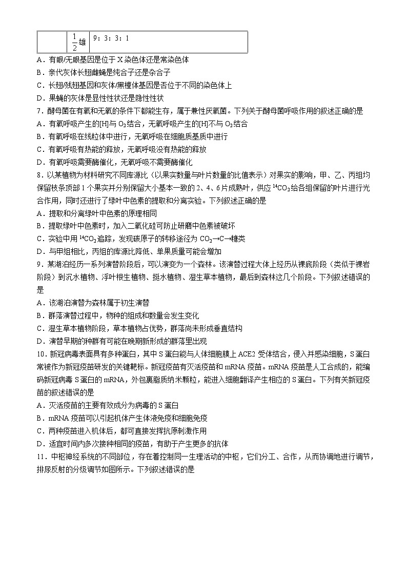 2024安徽省华大新高考联盟高三下学期4月教学质量测评二模试题生物含解析03