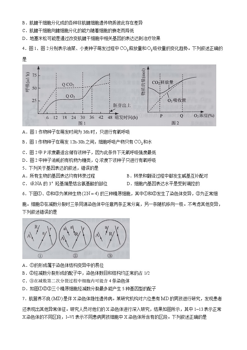 2024池州高三下学期3月教学质量统一监测试题（二模）生物含解析02