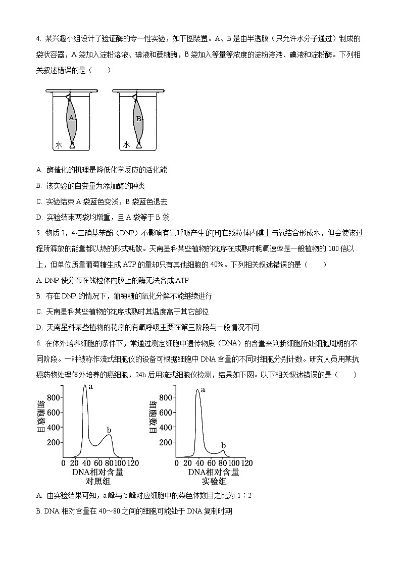2024淮北高三下学期一模生物试题含解析.02