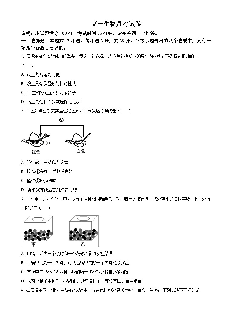 河北省保定市高碑店市崇德实验中学2023-2024学年高一下学期3月考试生物试题（原卷版）第1页