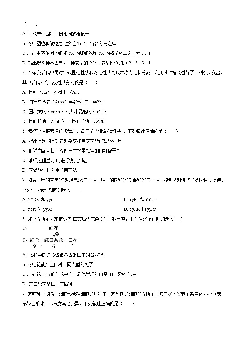 河北省保定市高碑店市崇德实验中学2023-2024学年高一下学期3月考试生物试题（原卷版）第2页