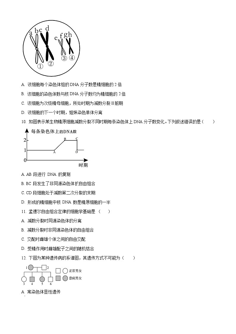 河北省保定市高碑店市崇德实验中学2023-2024学年高一下学期3月考试生物试题（原卷版）第3页