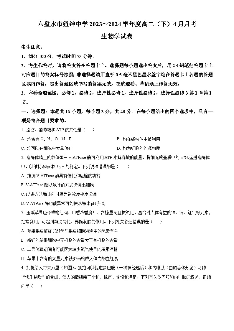 贵州省六盘水市六枝特区纽绅中学2023-2024学年高二下学期4月月考生物试题（原卷版+解析版）01