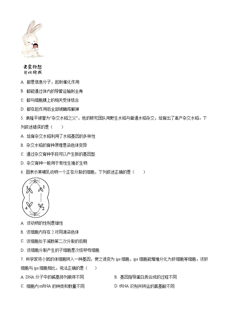 贵州省六盘水市六枝特区纽绅中学2023-2024学年高二下学期4月月考生物试题（原卷版+解析版）02