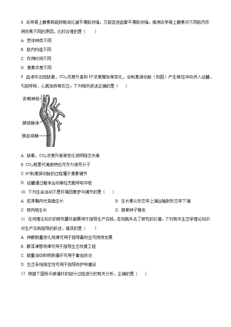 贵州省六盘水市六枝特区纽绅中学2023-2024学年高二下学期4月月考生物试题（原卷版+解析版）03