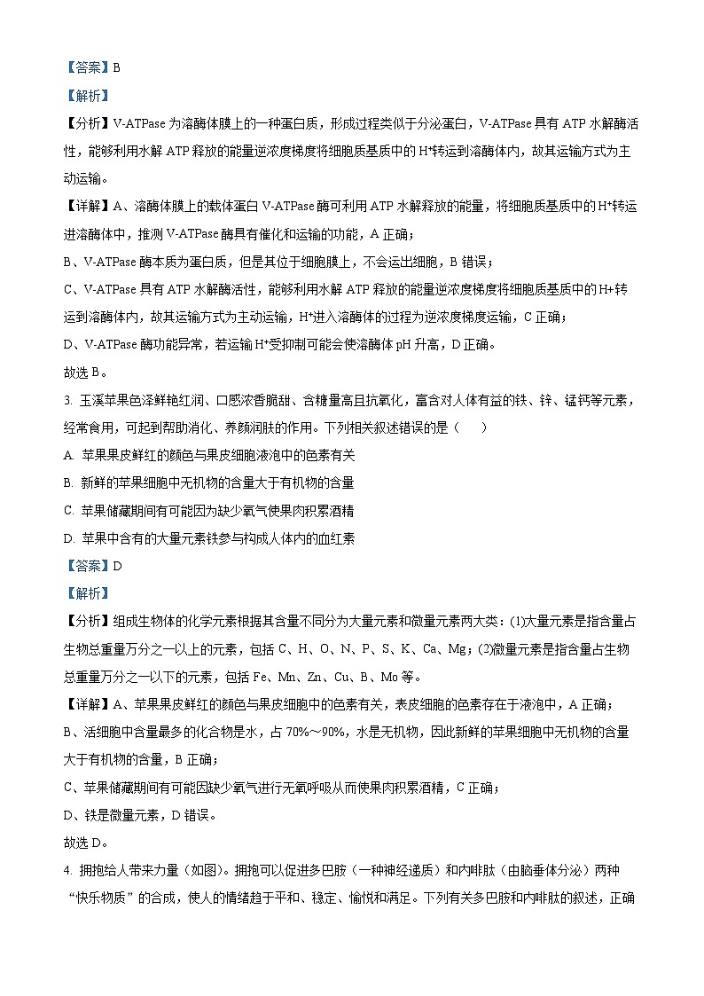 贵州省六盘水市六枝特区纽绅中学2023-2024学年高二下学期4月月考生物试题（原卷版+解析版）02