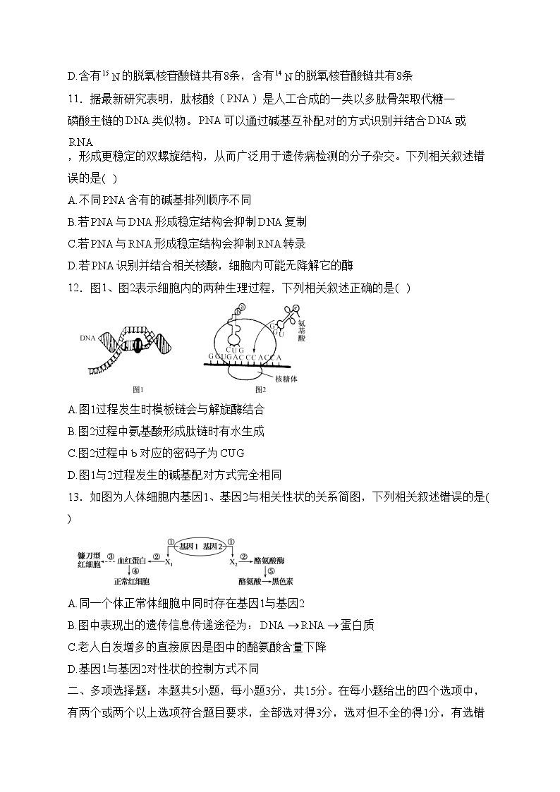 河北省盐山中学2022-2023学年高一下学期期中考试生物试卷(含答案)第3页