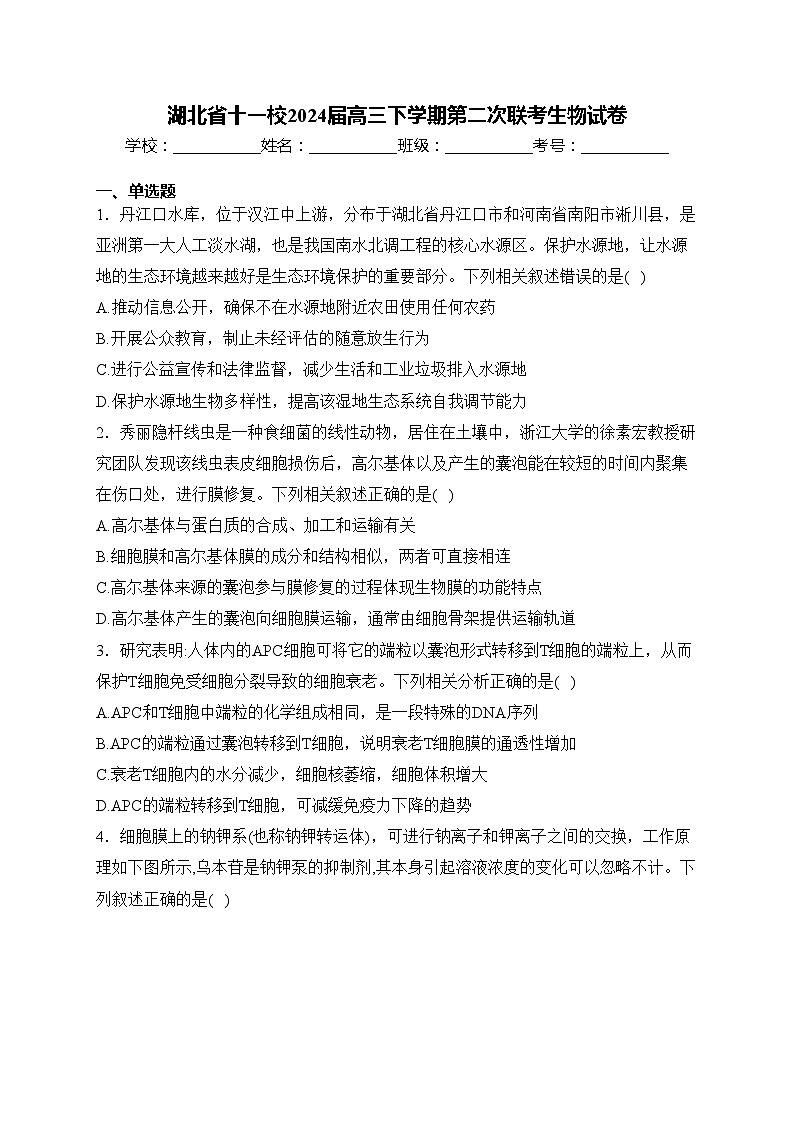 湖北省十一校2024届高三下学期第二次联考生物试卷(含答案)第1页
