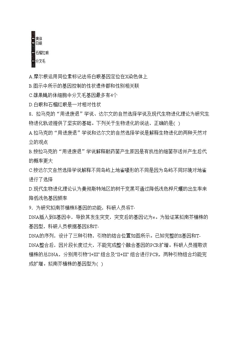 湖北省十一校2024届高三下学期第二次联考生物试卷(含答案)第3页