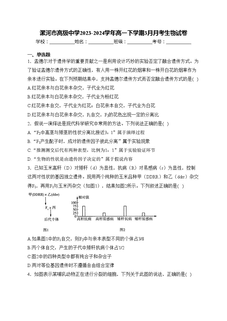 漯河市高级中学2023-2024学年高一下学期3月月考生物试卷(含答案)01