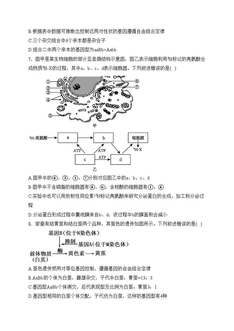 漯河市高级中学2023-2024学年高一下学期3月月考生物试卷(含答案)03