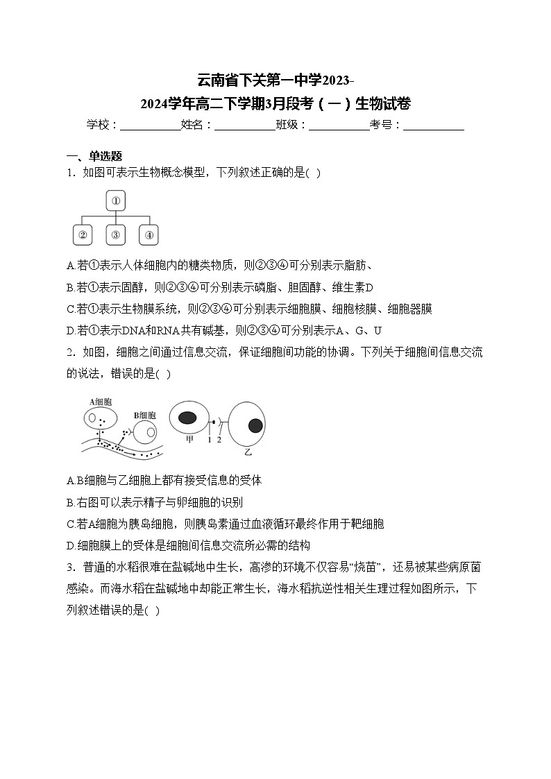 云南省下关第一中学2023-2024学年高二下学期3月段考（一）生物试卷(含答案)01