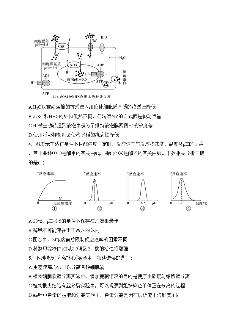 云南省下关第一中学2023-2024学年高二下学期3月段考（一）生物试卷(含答案)02