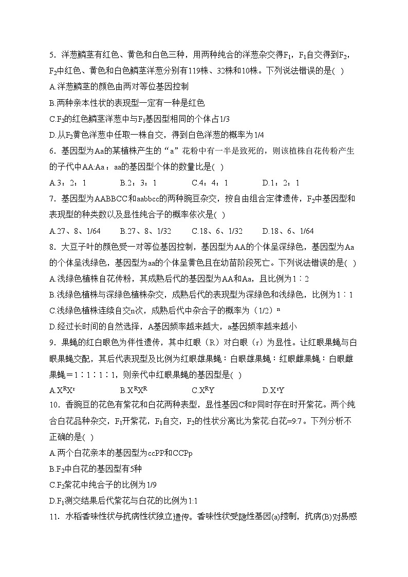 湛江市第二十一中学2023-2024学年高一下学期3月月考生物（选考）试卷(含答案)02