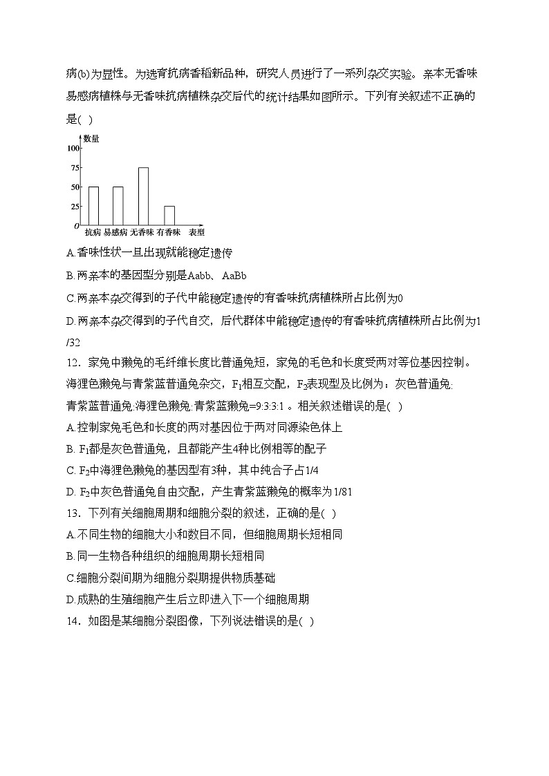 湛江市第二十一中学2023-2024学年高一下学期3月月考生物（选考）试卷(含答案)03