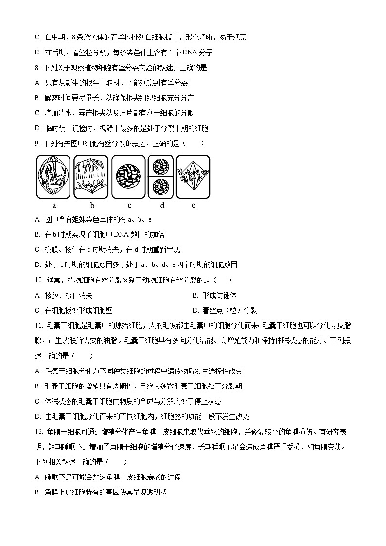 广东省高州市第四中学2023-2024学年高一下学期3月月考生物试卷（Word版附解析）第2页
