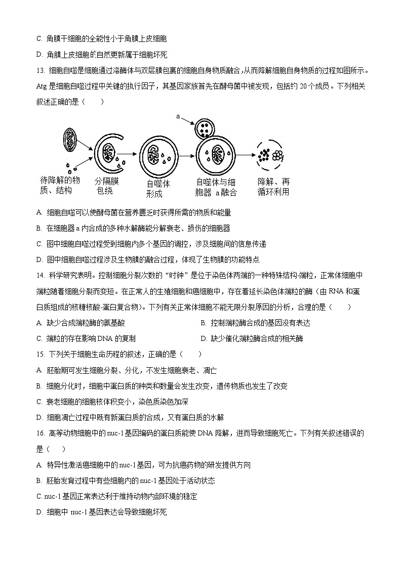 广东省高州市第四中学2023-2024学年高一下学期3月月考生物试卷（Word版附解析）第3页