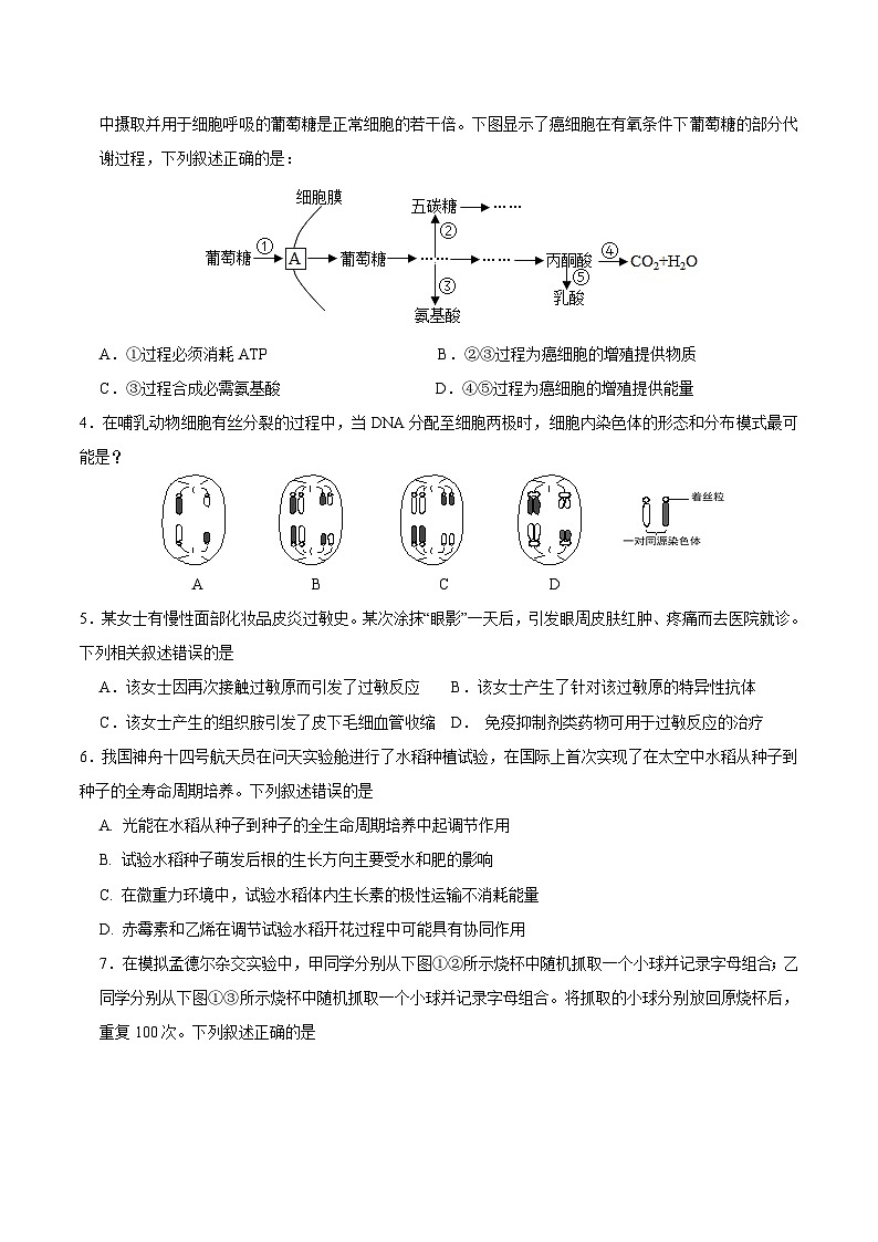 2024年高考第二次模拟考试卷：生物（广东卷）（考试版）02