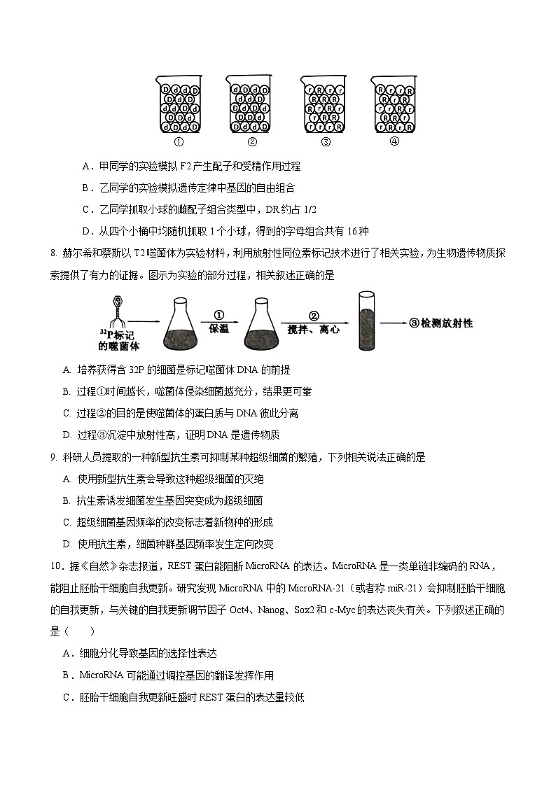 2024年高考第二次模拟考试卷：生物（广东卷）（考试版）03