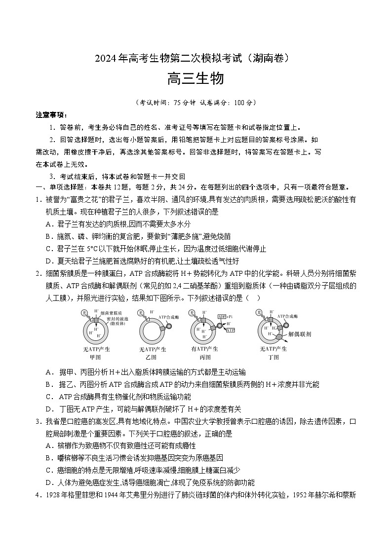 2024年高考第二次模拟考试：生物（湖南卷）（考试版）01
