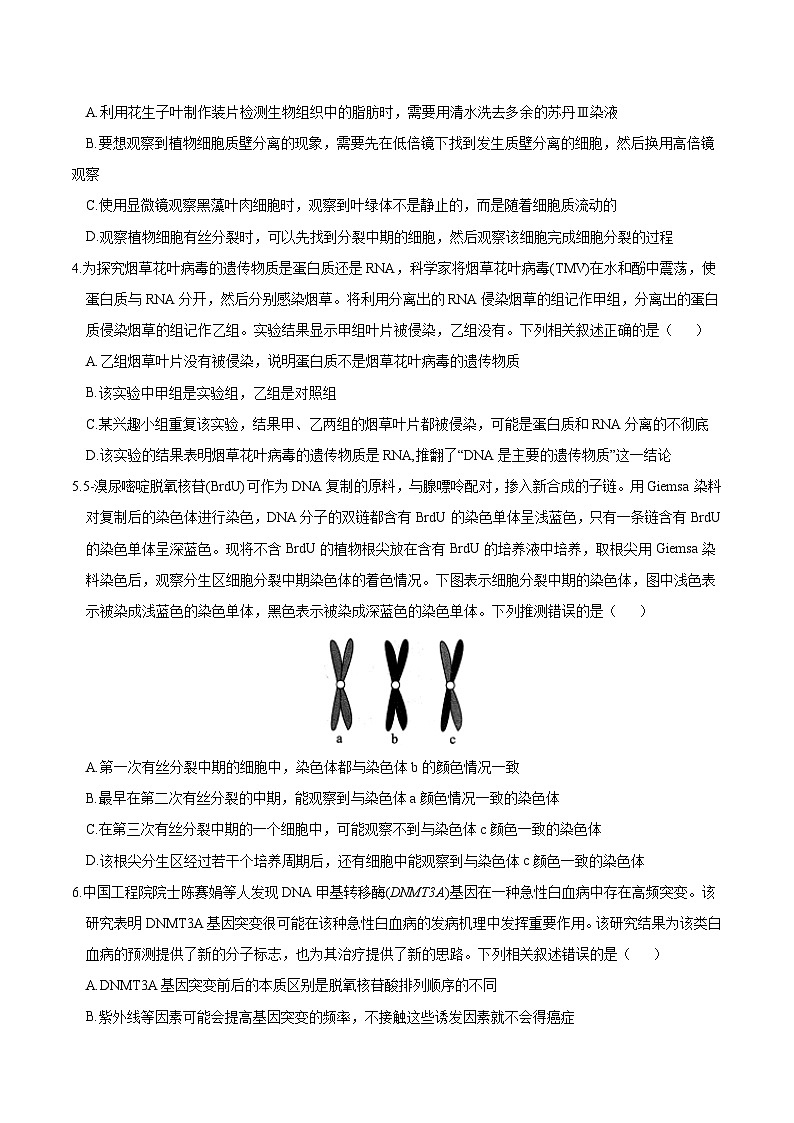 2024年高考第二次模拟考试：生物（辽宁卷）（考试版）02