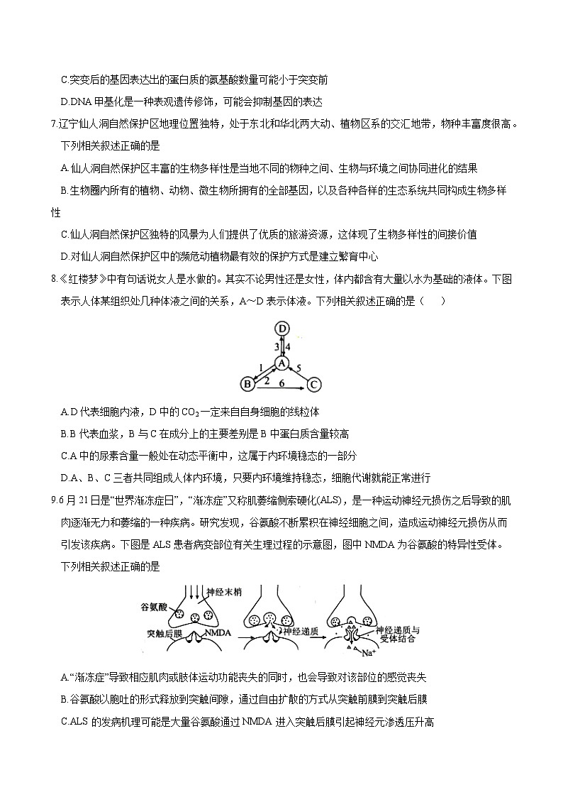 2024年高考第二次模拟考试：生物（辽宁卷）（考试版）03