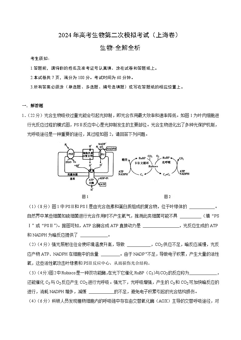 2024年高考第二次模拟考试：生物（上海卷）（解析版）第1页