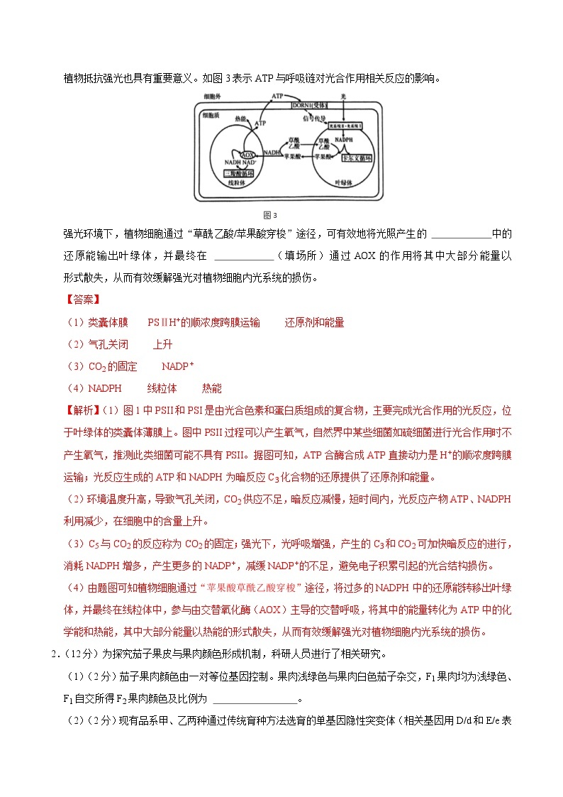 2024年高考第二次模拟考试：生物（上海卷）（解析版）02