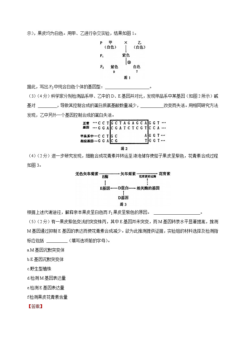 2024年高考第二次模拟考试：生物（上海卷）（解析版）第3页