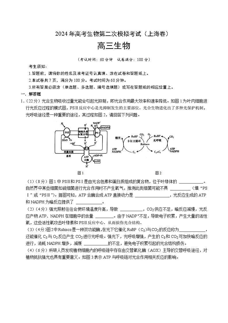2024年高考第二次模拟考试：生物（上海卷）（考试版）01