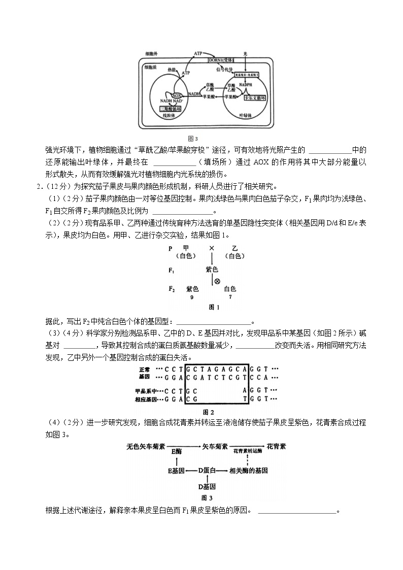 2024年高考第二次模拟考试：生物（上海卷）（考试版）02